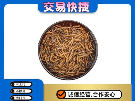 南通回收散虫草